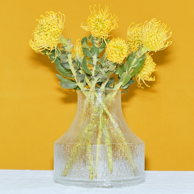 Ultima Thule Glass Vase 7.1" x 7.6" Clear