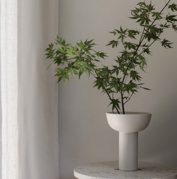 Miyabi Vase, Nomad