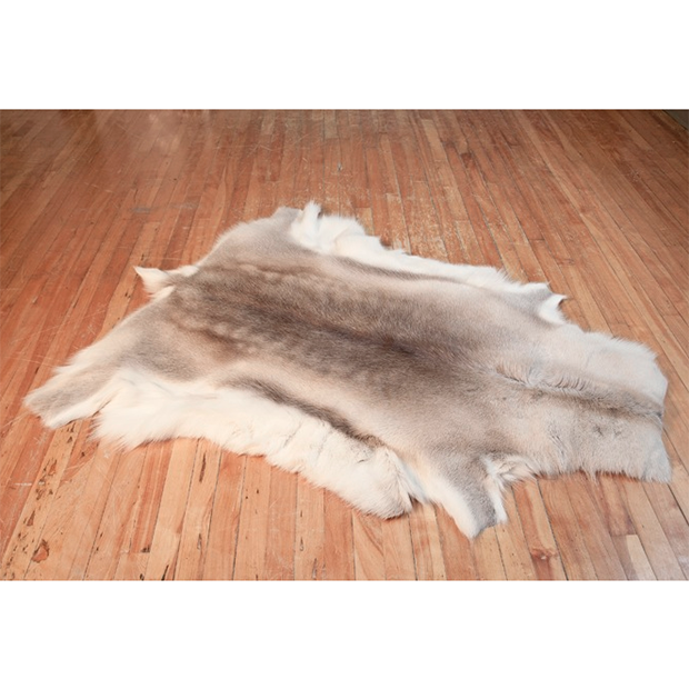 Large Finnish Reindeer Hide