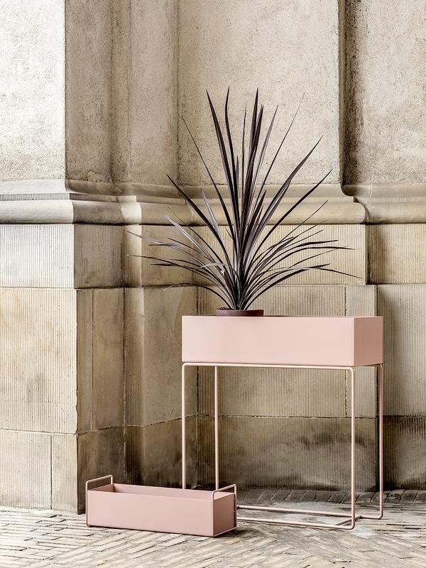 Plant Box, Small, Rose