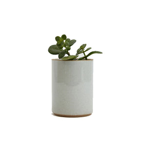Hasami Planter, Tall, Gloss Grey *Does not come with Dish/Plate