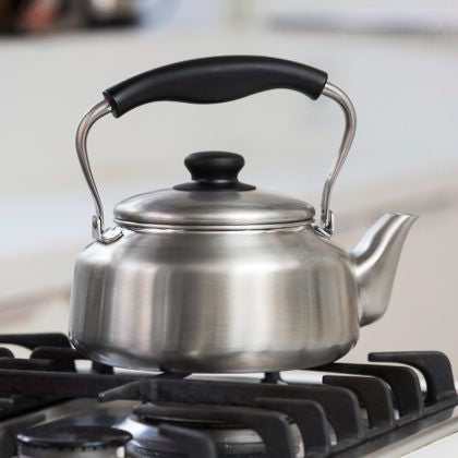 Yanagi Stainless Steel Kettle